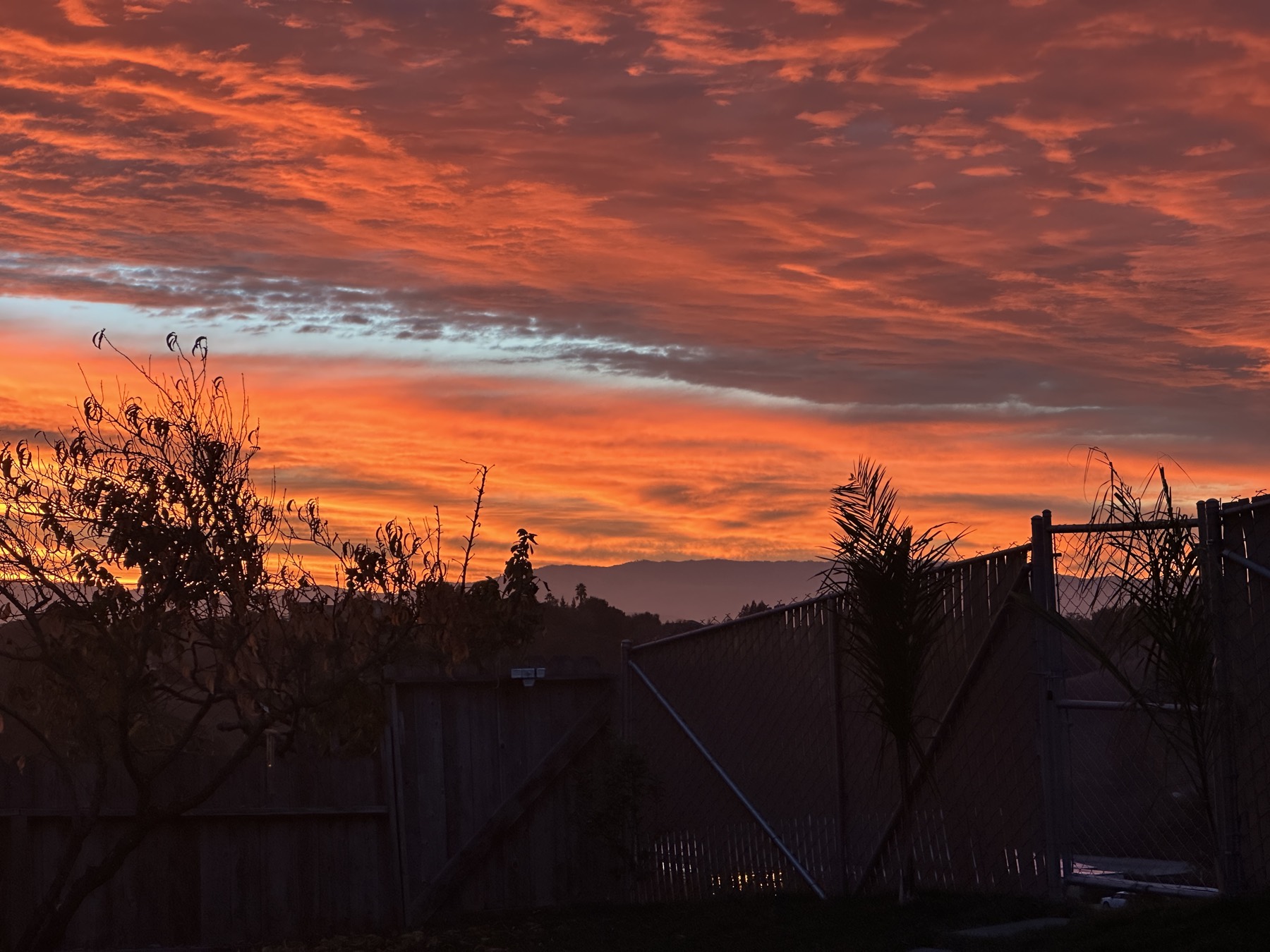 Evening sky